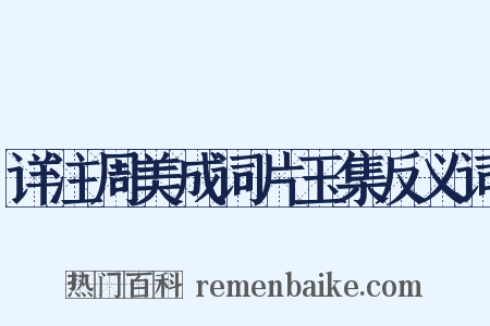 详注周美成词片玉集反义词是什么意思的图片